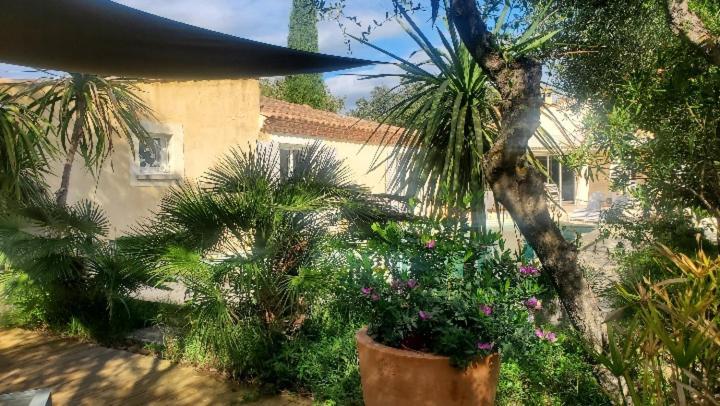 Le Clos Olives Comps  Exterior photo