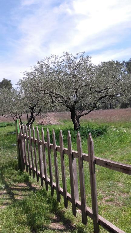 Le Clos Olives Comps  Exterior photo