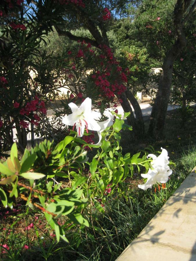 Le Clos Olives Comps  Exterior photo